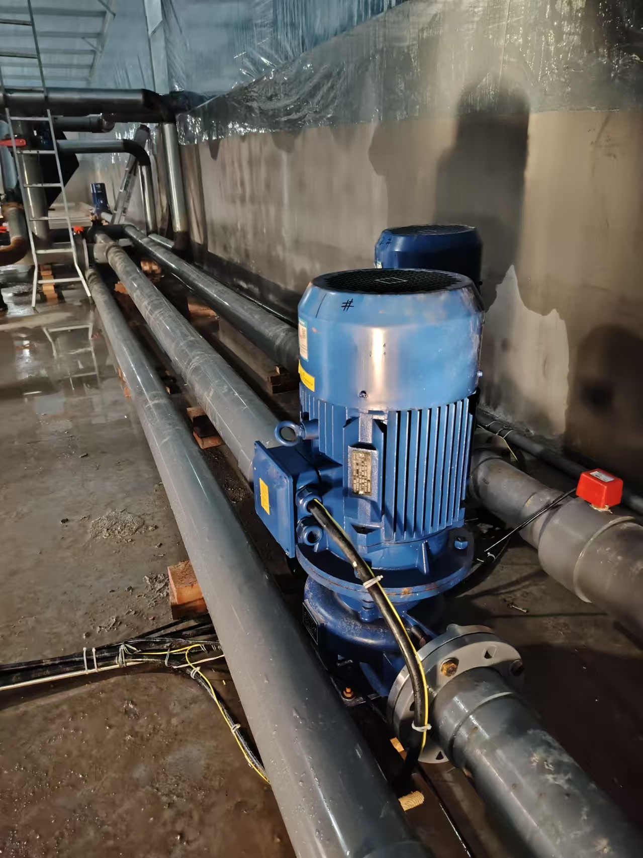 微信图片_20241218160532